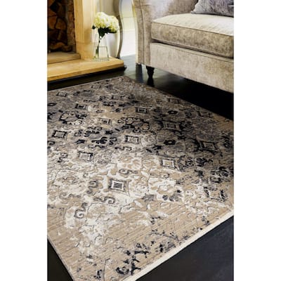 Gracewood Hollow Renza Distressed Emblum Rug