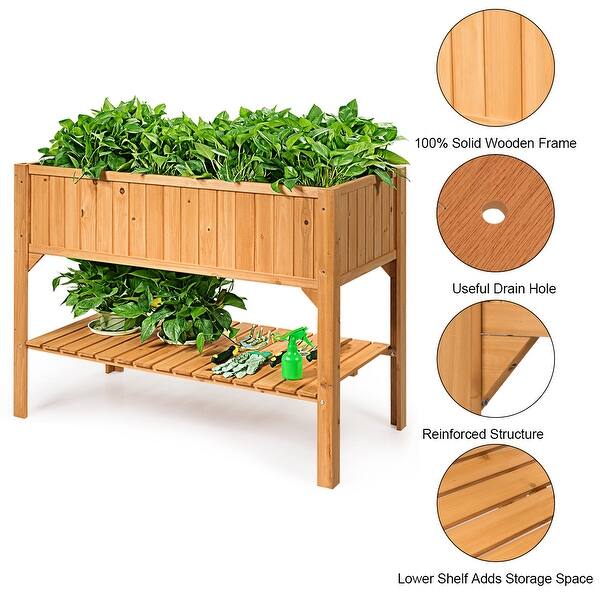 Shop Raised Garden Bed Elevated Planter Box Shelf Standing Garden