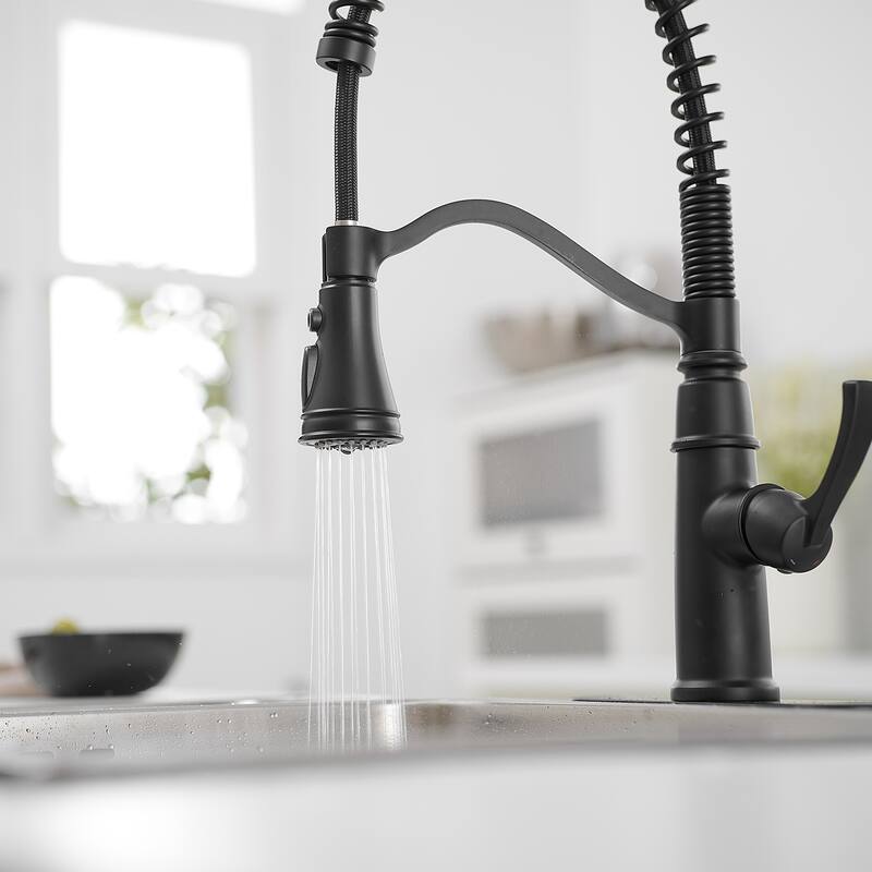 WIZ Pull-Down Sprayer 3 Spray High Arc Kitchen Faucet With Deck Plate