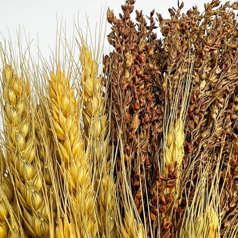 Decorative Fall Wreath made from Real Preserved Dried Wheat and Sorghum