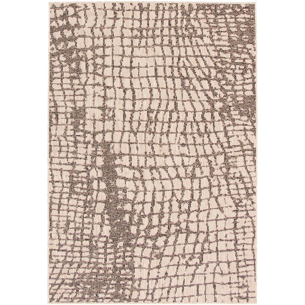 ECARPETGALLERY Sisal Safari Indoor/ Outdoor Rug