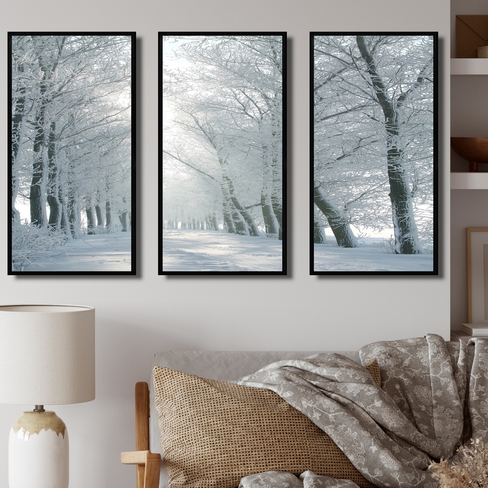 Landscapes, Nautical & Coastal, Winter Framed Canvas - Bed Bath