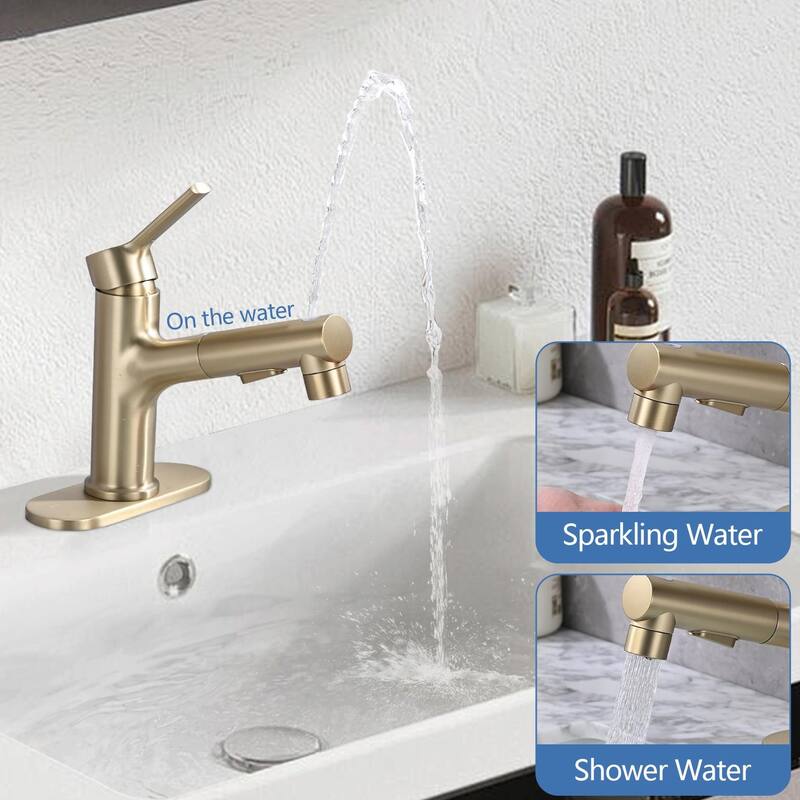 Stainless Steel Bathroom Faucet with Pull-Out Sprayer & 3 Settings