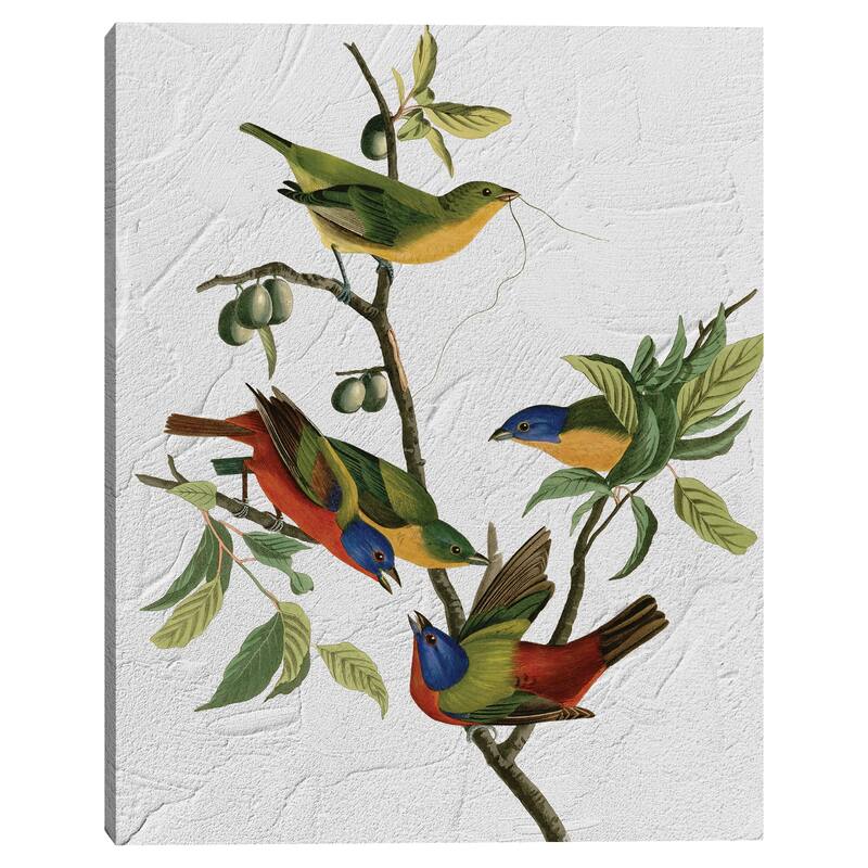 Audubon Painted Finch Texture by Design Lab Canvas Art Print