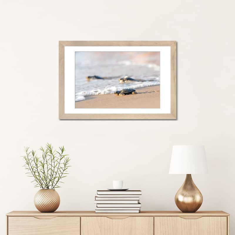 iCanvas "Kemp's Ridley Sea Turtle hatchling I" by Larry Ditto