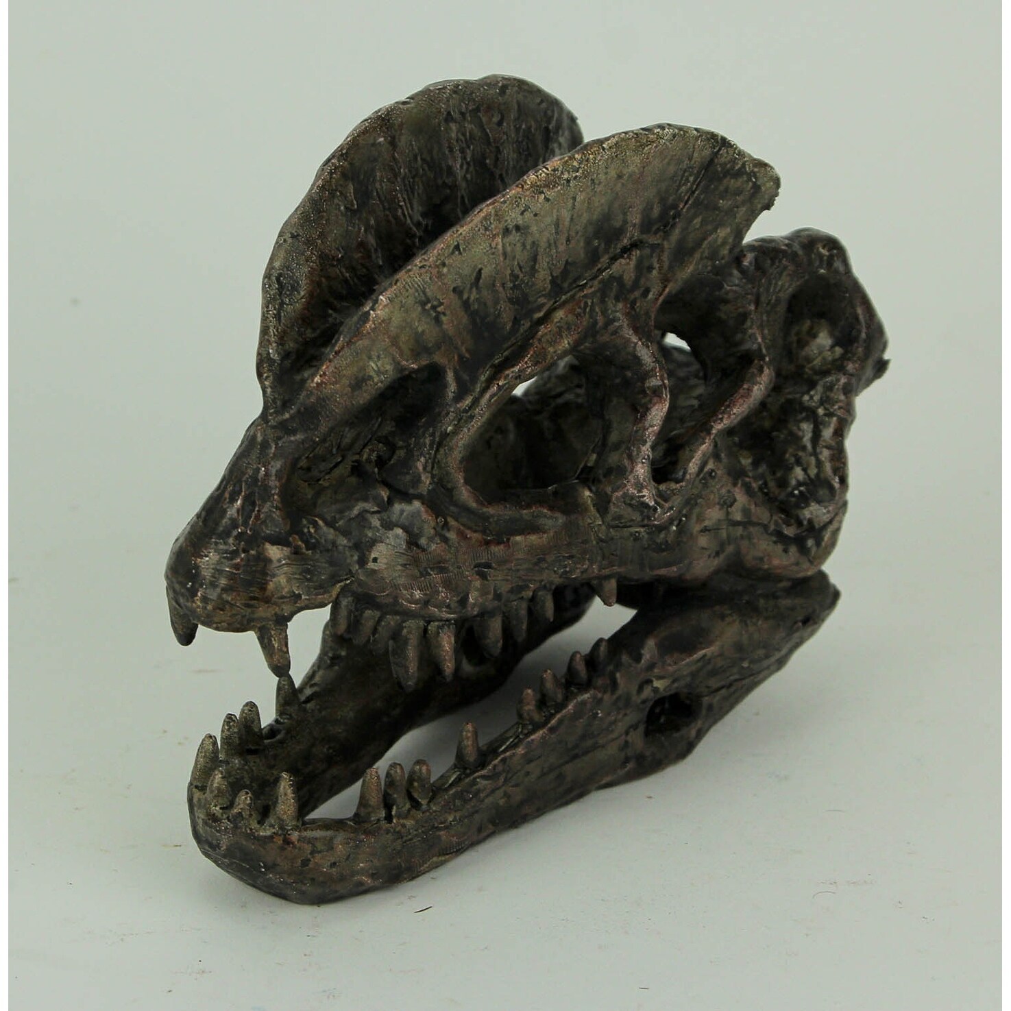 Dilophosaurus fossil for sale deals
