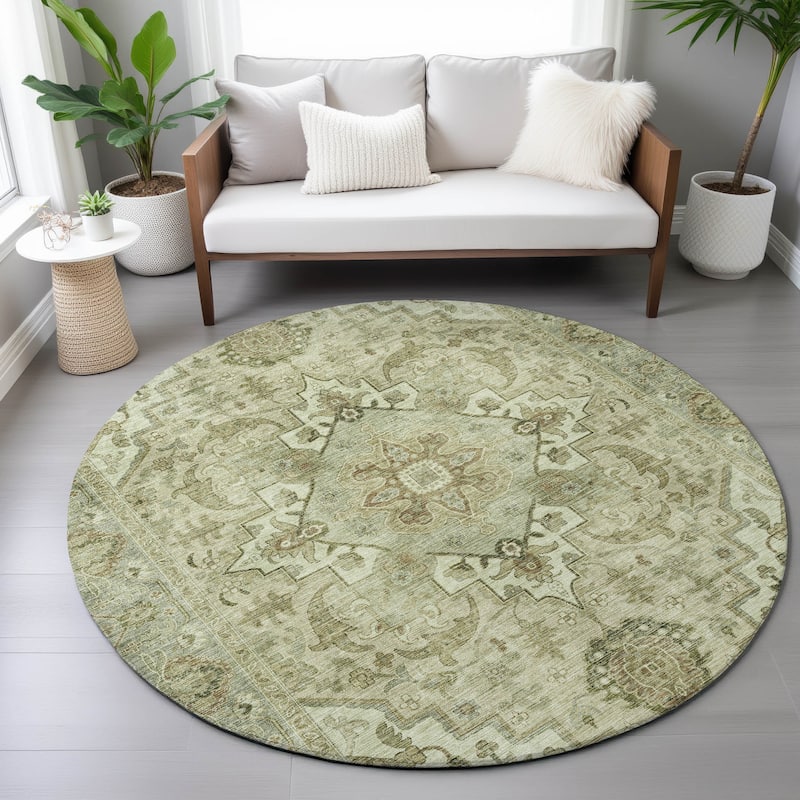 Machine Washable Indoor/Outdoor Traditional Vintage Chantille Rug