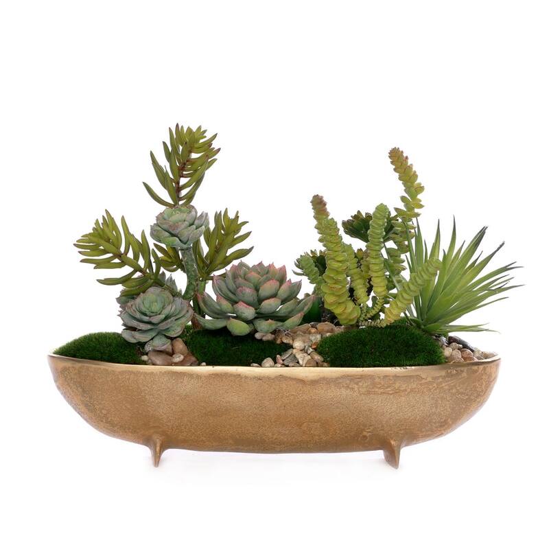 Succulent Arrangement and Sheet Moss in Anti Gold Oval Bowl - Green