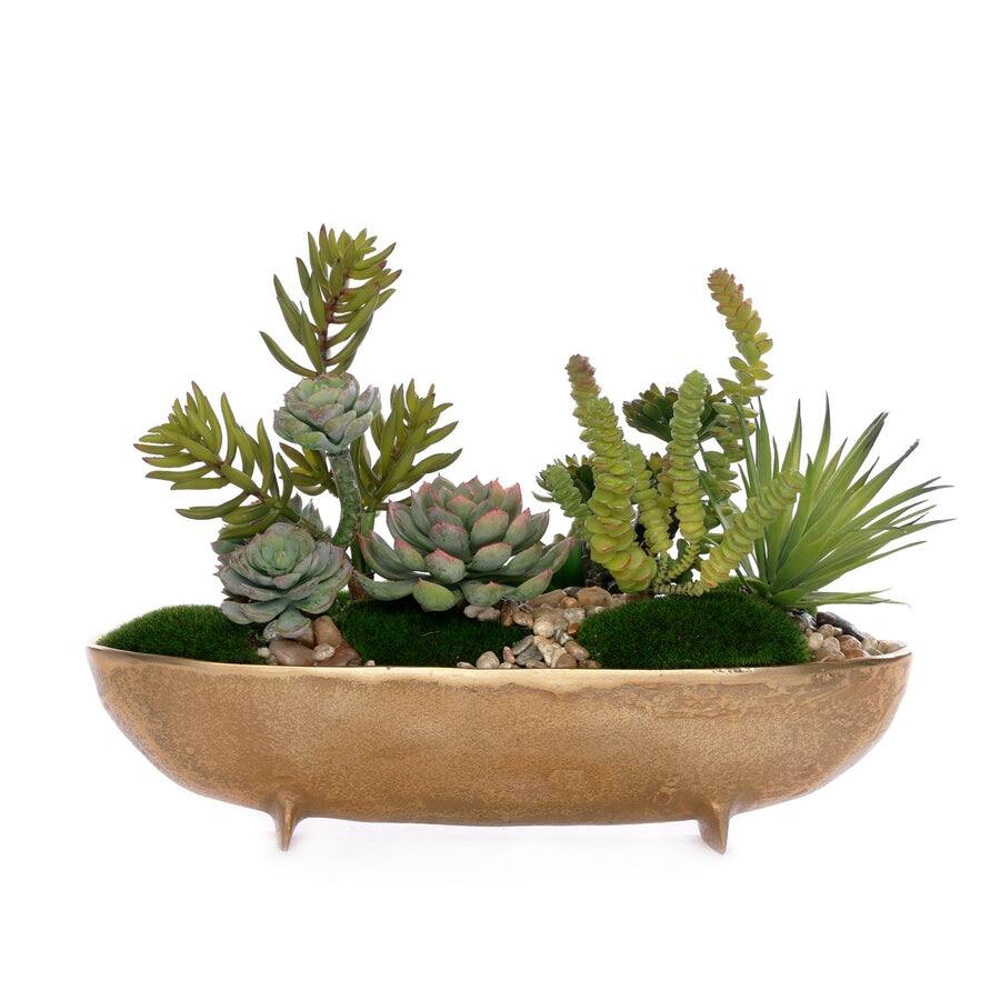 Succulent Arrangement and Sheet Moss in Anti Gold Oval Bowl - Green