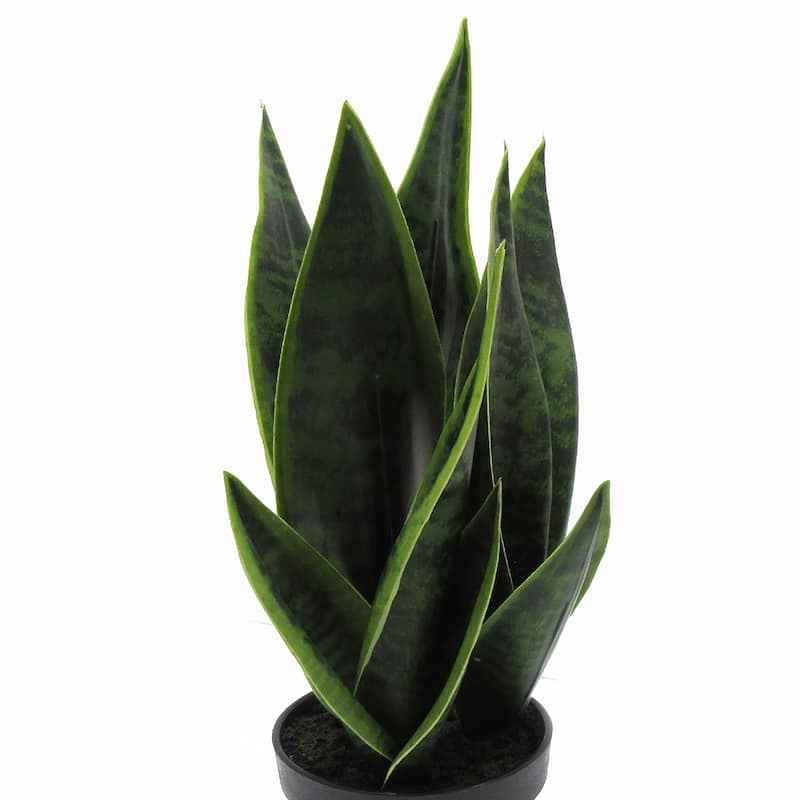 16in Artificial Sansevieria Snake Plant in Black Pot - 16" H x 7" W x 7" DP