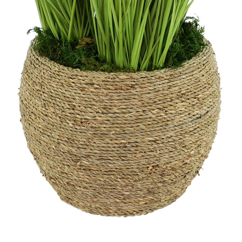 Dahlias and Grass in Pot - 29