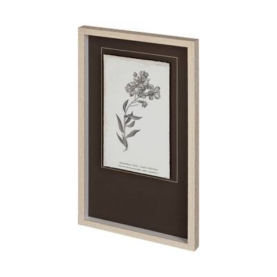 Conversations on Botany VI Framed Art Print