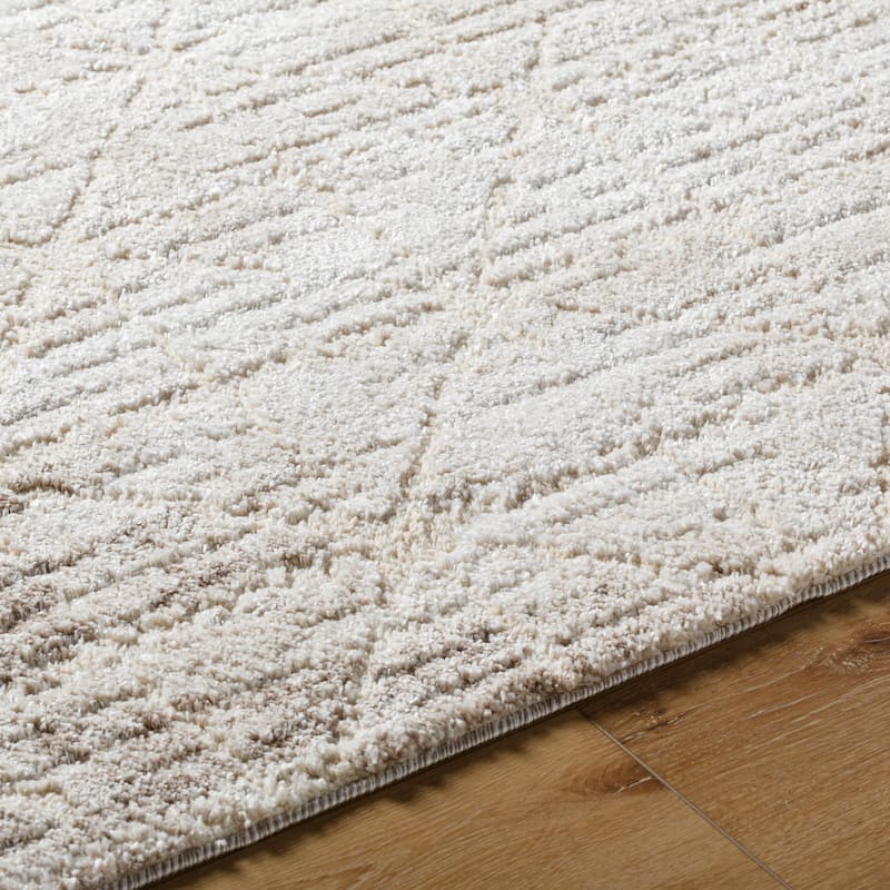Livabliss Andorra Plus Casual Abstract Area Rug