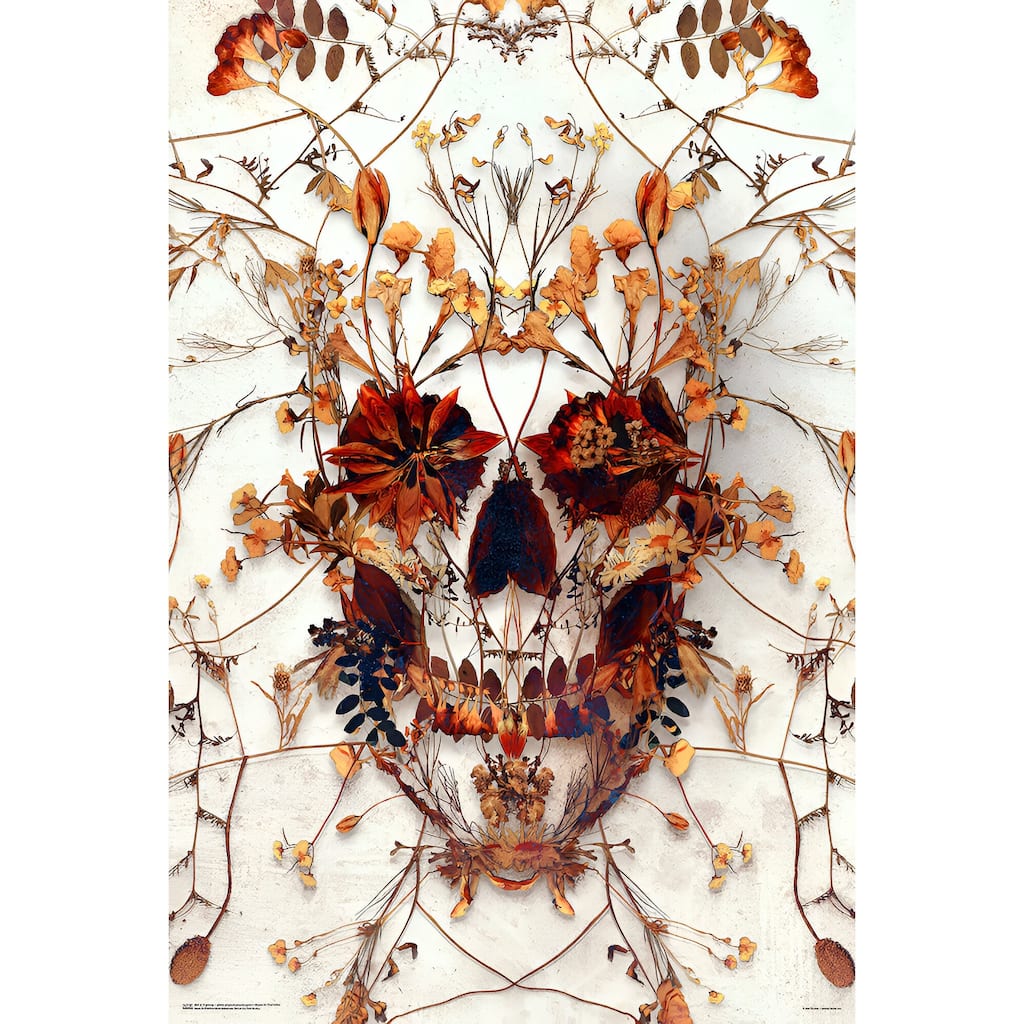 Delicate Skull Art Poster - 24 x 36 Inch