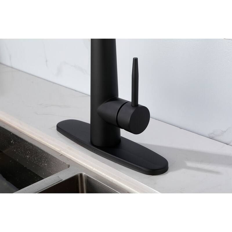Modern Stainless Steel Kitchen Faucetswith Pull Down Sprayer