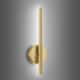 Option Gold