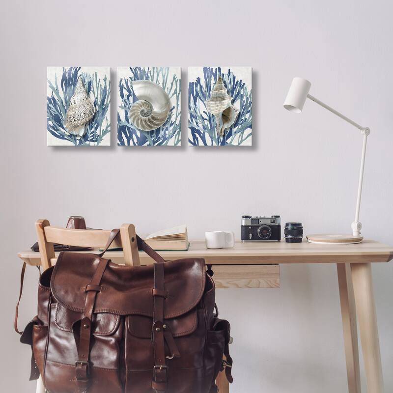 Stupell Trio of Shell Coral Blue Beach Design, 3pc Multi Piece Canvas Wall Art Set