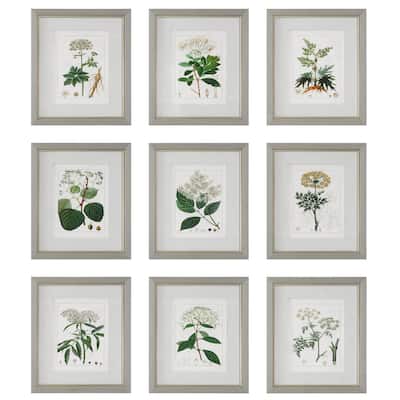 Uttermost Antique Botanicals Framed Prints, S/9 - 16.75 W x 19.5 H x 1.75 D (inches)
