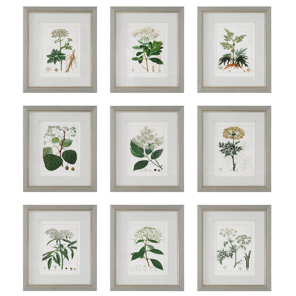 Uttermost Antique Botanicals Framed Prints, S/9 - 16.75 W x 19.5 H x 1.75 D (inches)