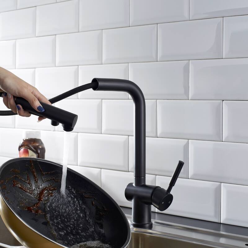 ALPHAUCET Single Handle Pull-Out Sprayer Kitchen Faucet