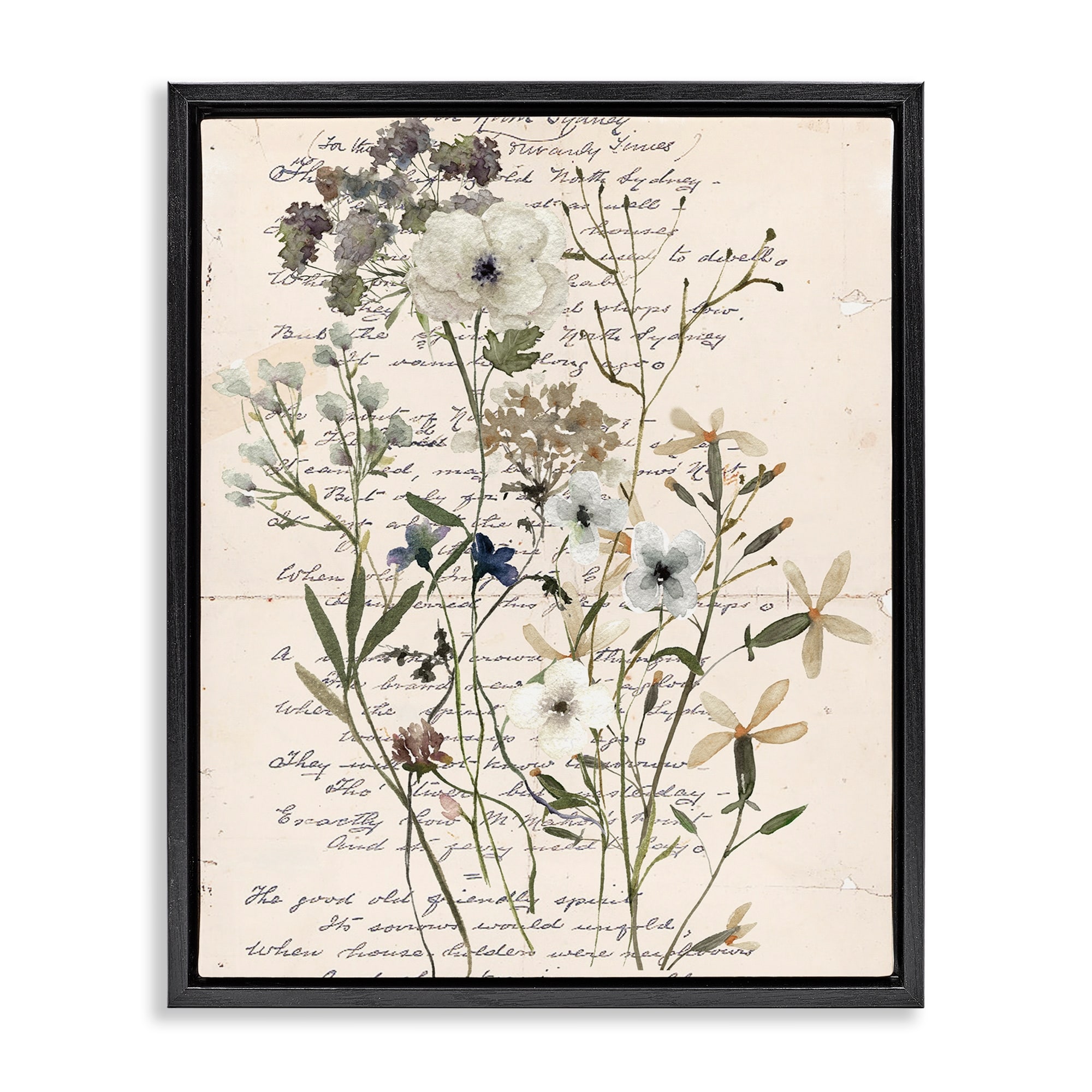 Stupell Vintage Pressed Flowers Framed Floater Canvas Wall Art Design By Carol Robinson
