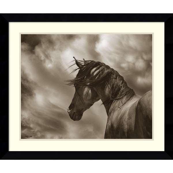 Framed Art Print 'The Renegade Horse' by Barry Hart 33 x 28-inch. Opens flyout.