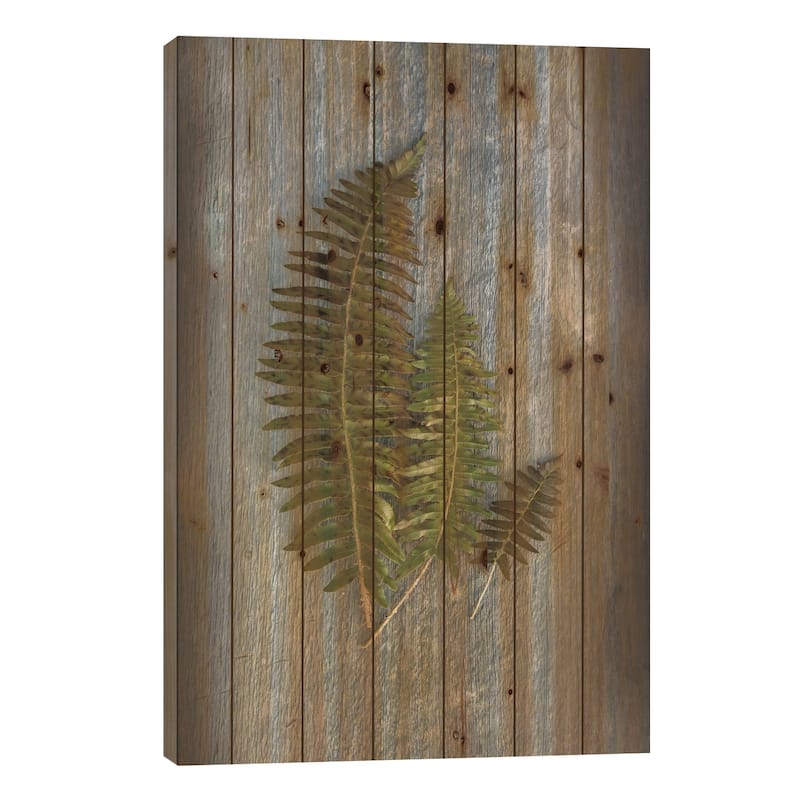 Woodland Fern VI Print On Wood by Sue Schlabach - Multi-Color - 26x18x1.5