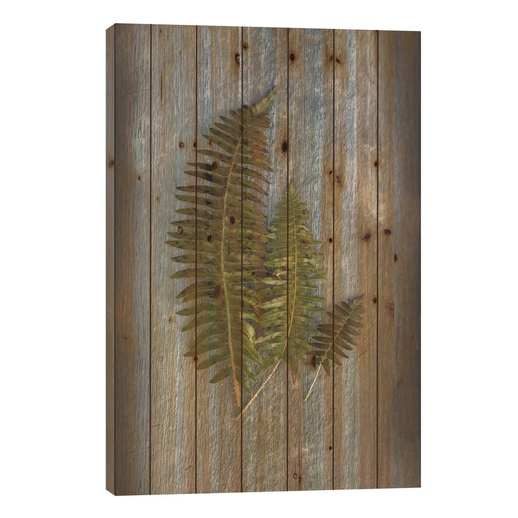 Woodland Fern VI Print On Wood by Sue Schlabach - Multi-Color