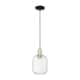 Option Clear / Black Antique Brass