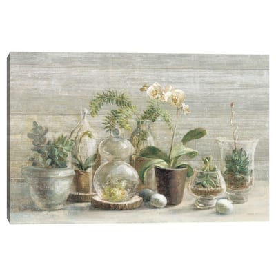 Greenhouse Orchids on Wood by Danhui Nai Canvas Art Print