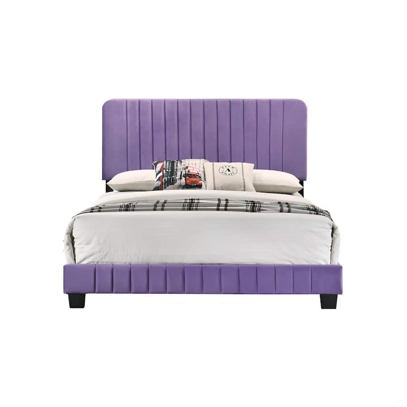 Vibrant Purple Contemporary Queen Bed with Velvet Fabric