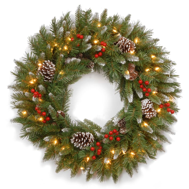 National Tree Company 2 ft. Frosted Berry Wreath with 50 Clear Lights - 2 ft