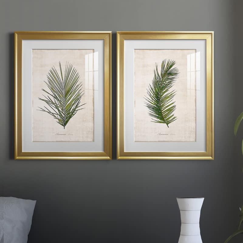 Palm Botanical I Premium Framed Print - Ready to Hang