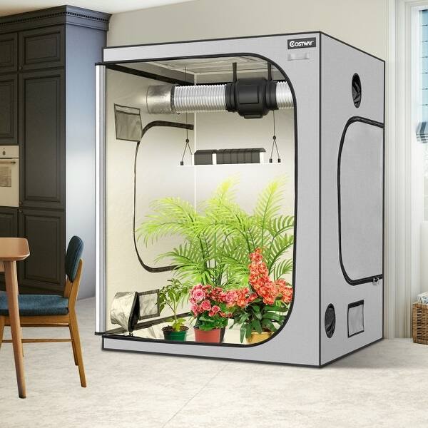 paidi zelt Sumbababy Kleinkindbett : Indoor Boden Bett Kinder Zelt Playhouse - Portable & Foldable Twin Etagenbett Vorhänge final Naturehike V- Shaped Aluminium Helmgröße:UXL (58-65cm)