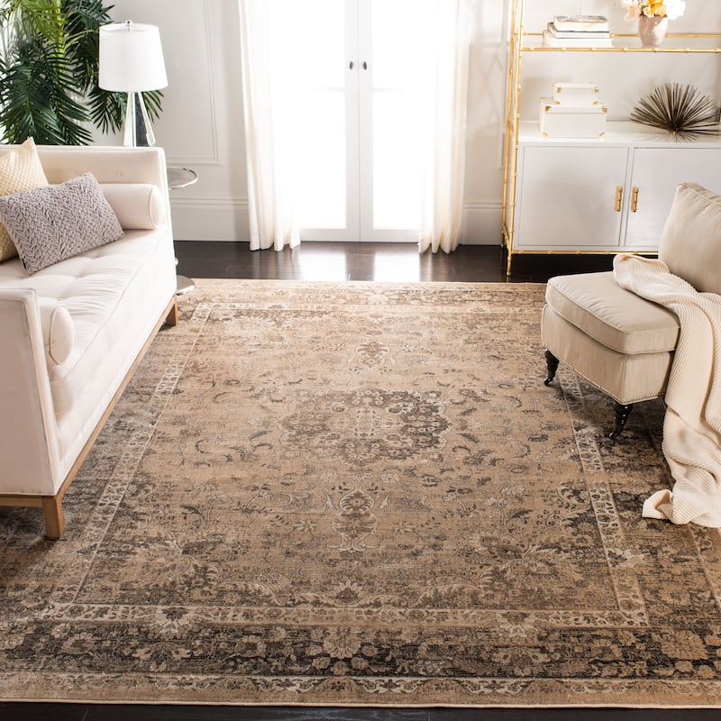 SAFAVIEH Agda Charlott Distressed Oriental Area Rug - 9' x 12' - Warm Beige