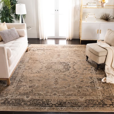 SAFAVIEH Agda Vintage Distressed Oriental Area Rug