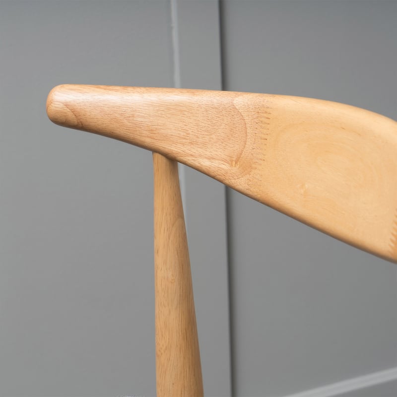 Francie Mid-Century Modern Dining Chairs (Set of 2)