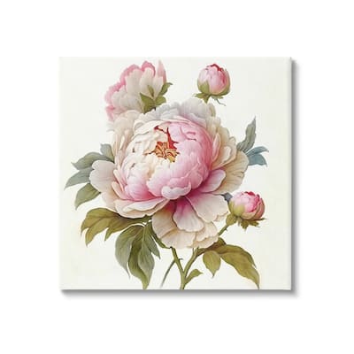 Stupell Detailed Pink Peony Flower Buds Canvas Wall Art by Ziwei Li