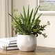 preview thumbnail 2 of 3, Uttermost Sundown Succulent Accent Planter