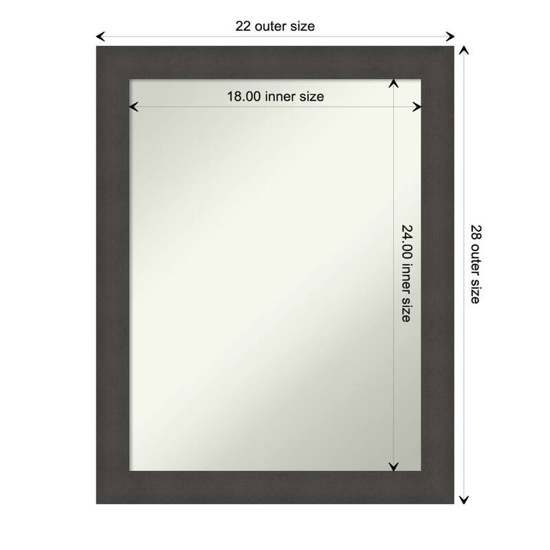 Blaine Narrow Non-Beveled Framed Wall Mirror - Blaine Light Pewter Narrow - Glass Size 18x24