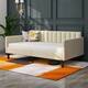 Option Ivory