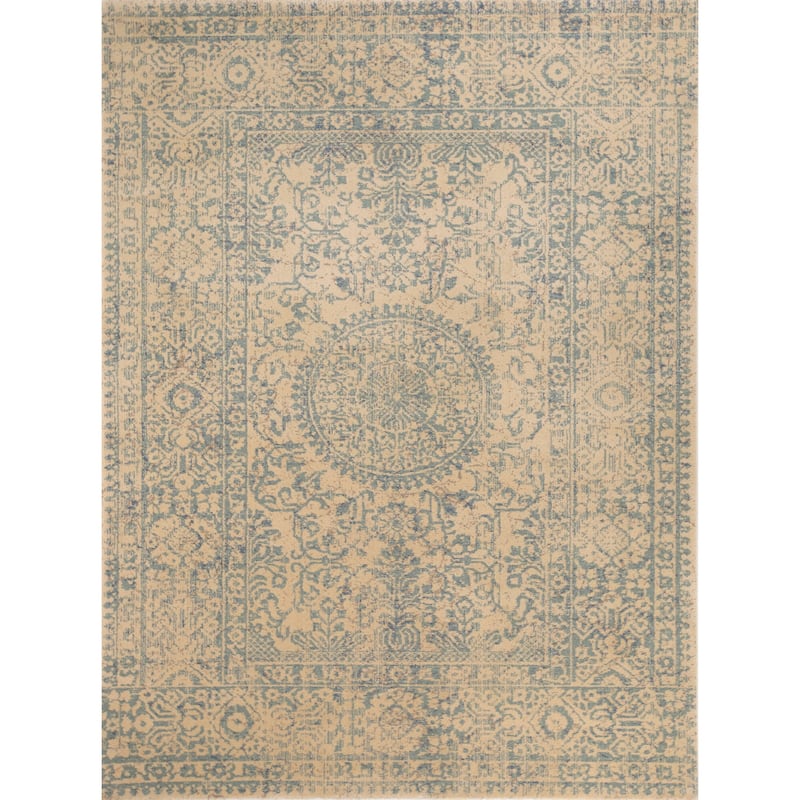 Mahsa Distressed Oriental Pattern Indoor Area Rug