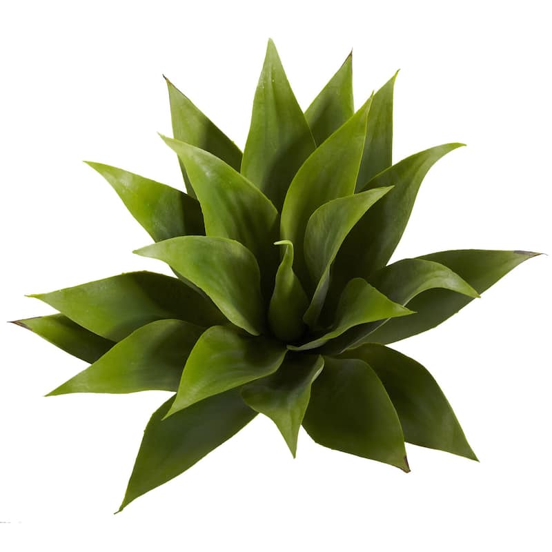 Decorative Succulent Plants Set of 2 - 17 Inch Tall Rococo Romance Home Office Decor - 1.42ft.
