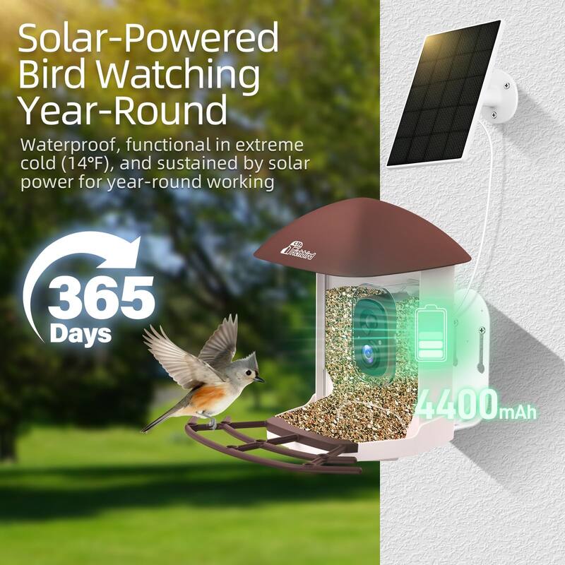 Smart Solar Bird Feeder with Camera and Interactive App