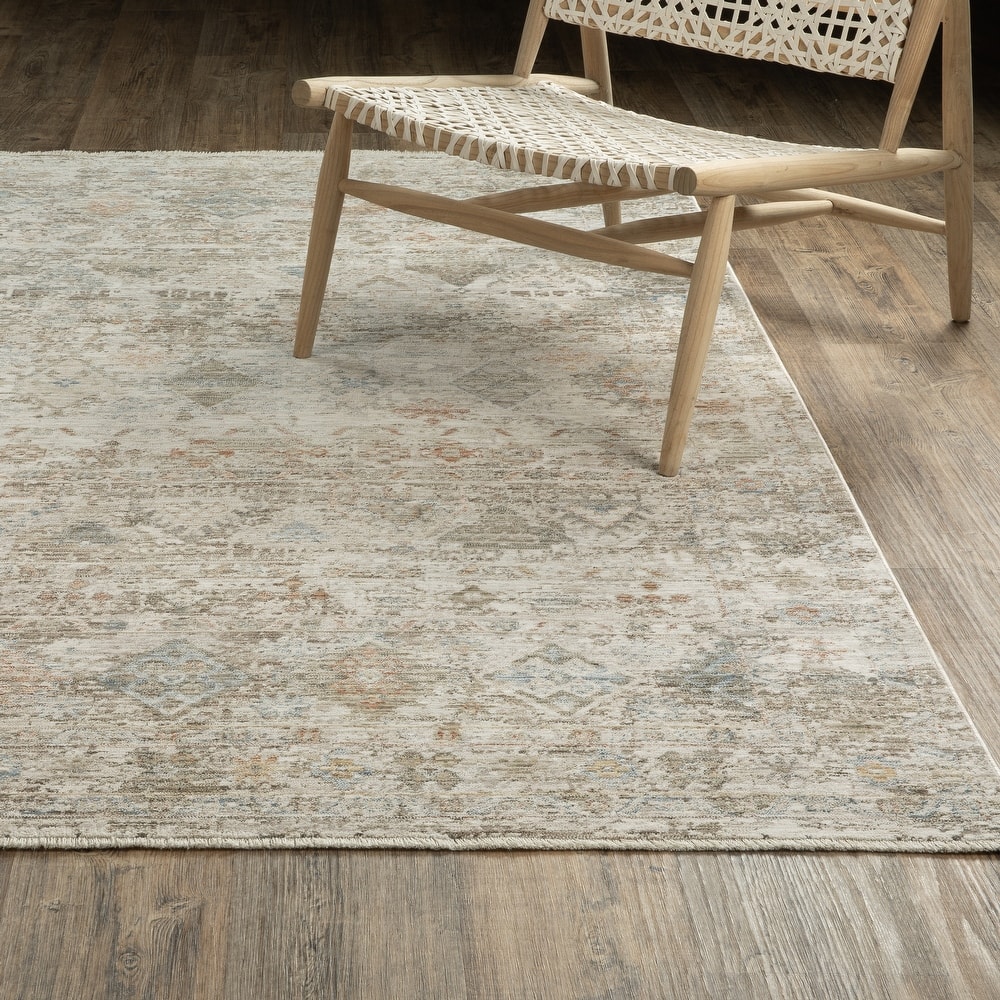 Amira Distressed Traditional Beige/ Grey Area Rug