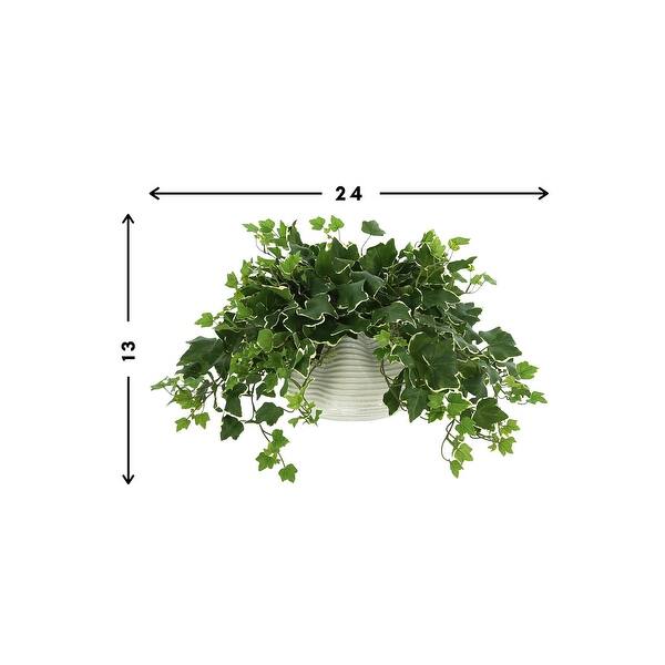 Ivy Plant in a Glass Vase - Green