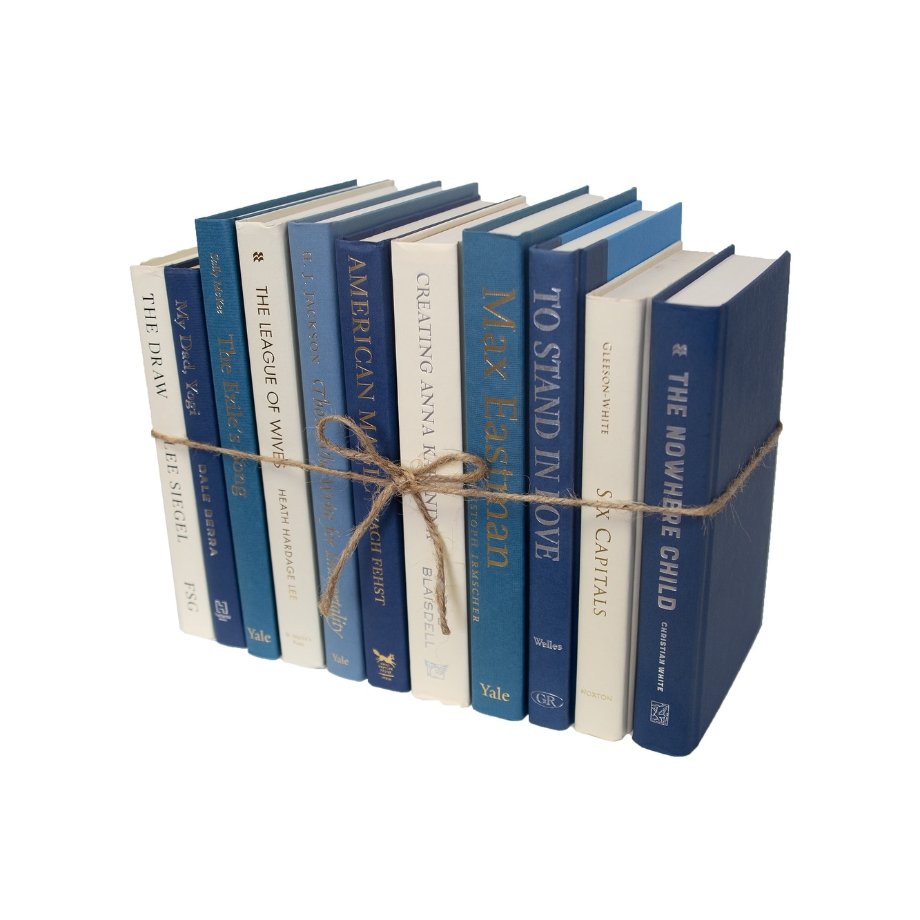 Decorative Books - Coastal Shores Book Bundle - 1 Foot of Blue Books