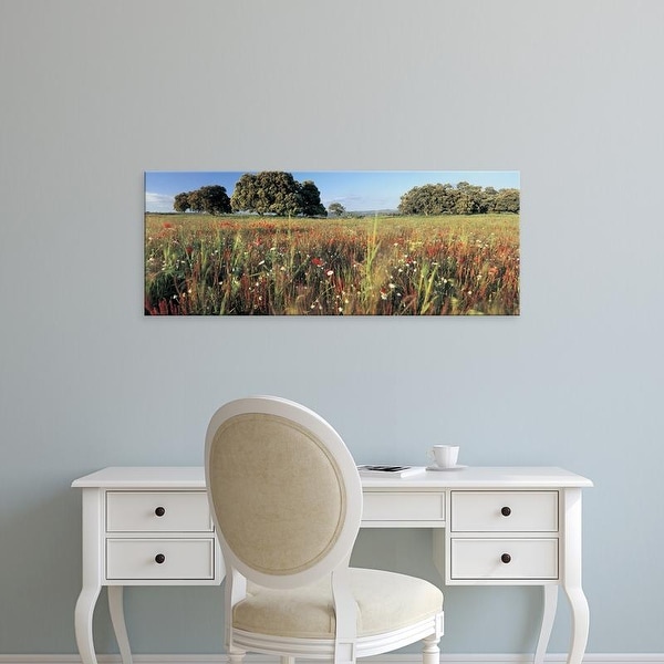 Easy Art Prints Panoramic Images's 'Wild flowers in a field, Andalucia, Spain' Premium Canvas Art