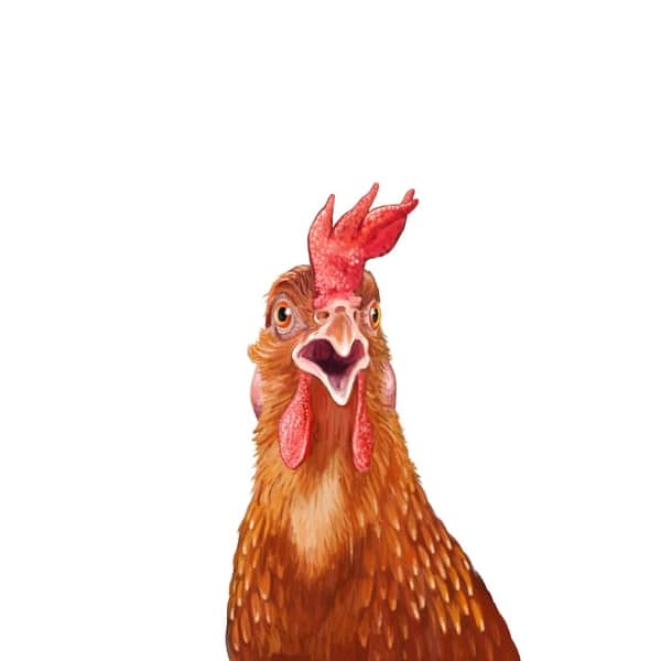 Shop Chicken Lantern Press Artwork Art Print Multiple Sizes