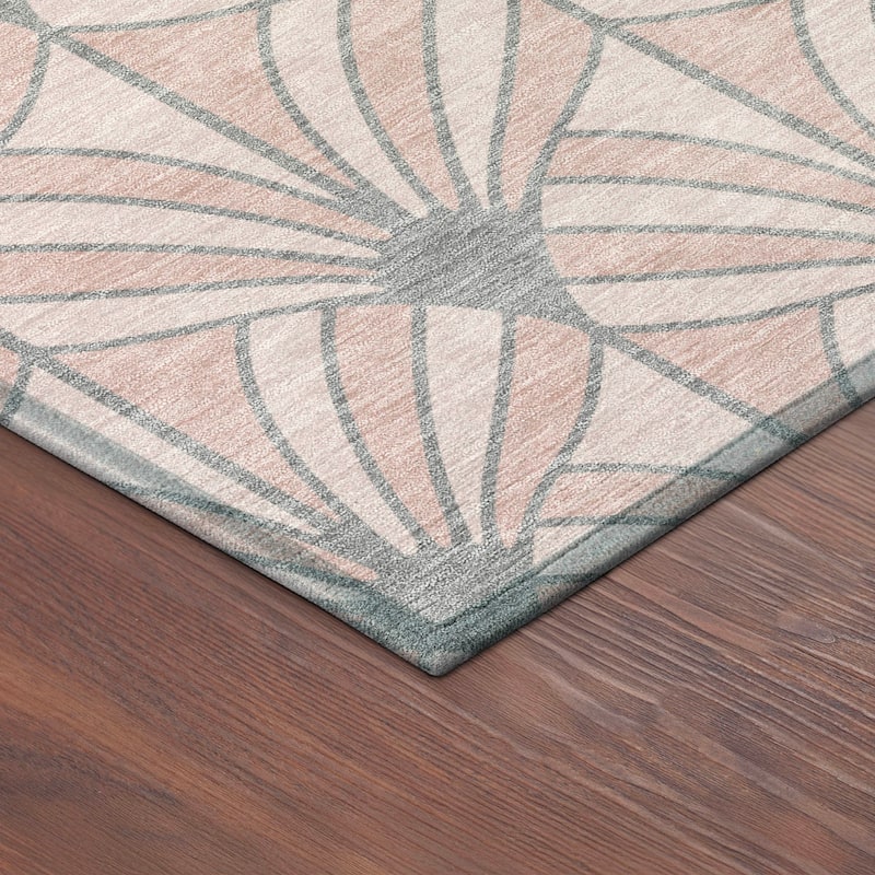 Machine Washable Indoor/ Outdoor Casual Kim Chantille Rug